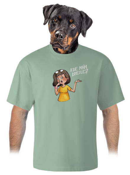 Kde mám brejle unisex tričko oversized Sage