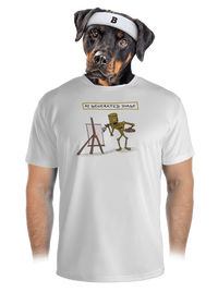 pánské sportovní tričko