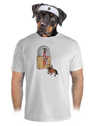 pánské sportovní tričko