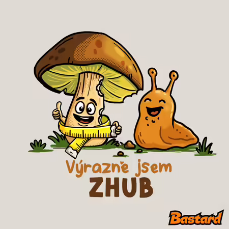 Jsem zhub
