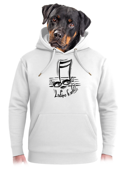 Ladíme k sobě unisex mikina premium Snowwhite