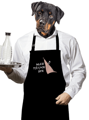 Miluju jízdu zástěra Black