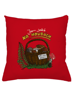 Na houbách polštář Red