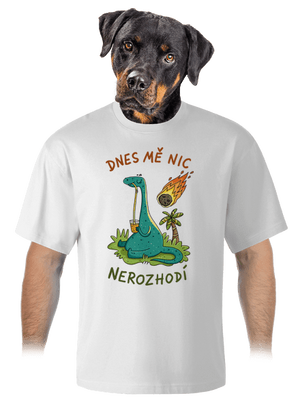 unisex tričko oversized