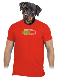pánské tričko