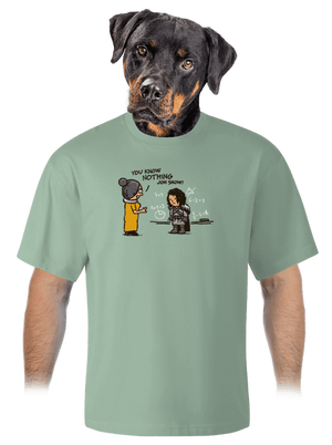 You Know Nothing unisex tričko oversized Sage