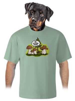 Strejda z Ameriky unisex tričko oversized Sage