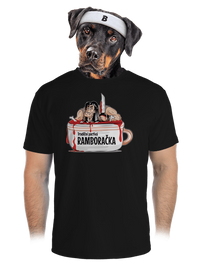 pánské sportovní tričko