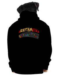 pánská mikina na zip