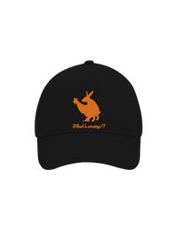 kšiltovka baseballka