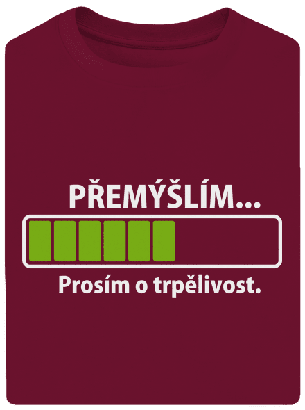 Přemýšlím unisex tričko oversized Garnet