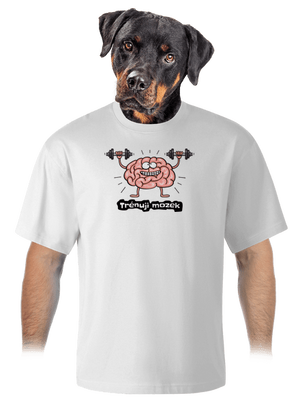 unisex tričko oversized