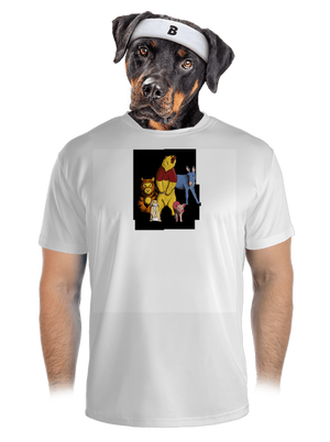 pánské sportovní tričko