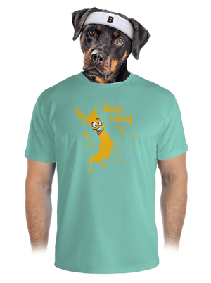 pánské sportovní tričko