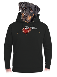 unisex mikina premium