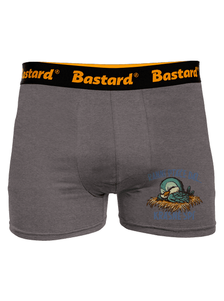 Ranní ptáče spí boxerky Gray Melange