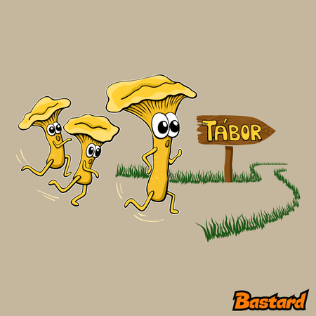 Běží lišky k Táboru