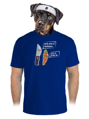 pánské sportovní tričko