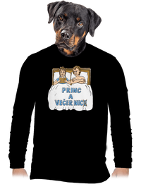 pánské dlouhý rukáv