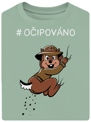 Očipováno unisex tričko oversized Sage