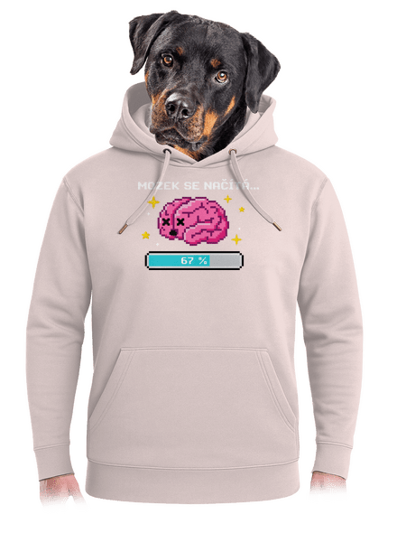 Mozek se načítá unisex mikina premium Rose Chalk