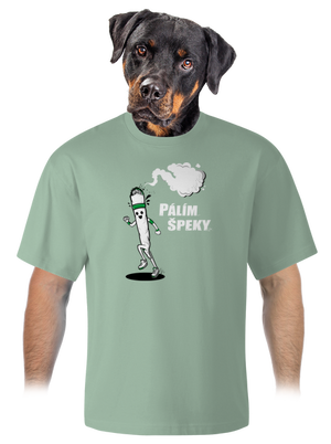 Pálím špeky unisex tričko oversized Sage
