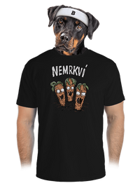 pánské sportovní tričko