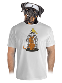 pánské sportovní tričko