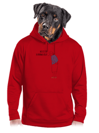 pánská mikina klokanka