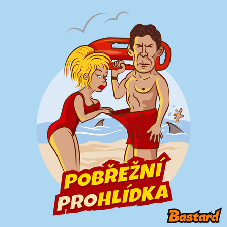 Pobřežní prohlídka