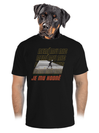 pánské sportovní tričko