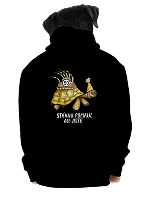 pánská mikina na zip