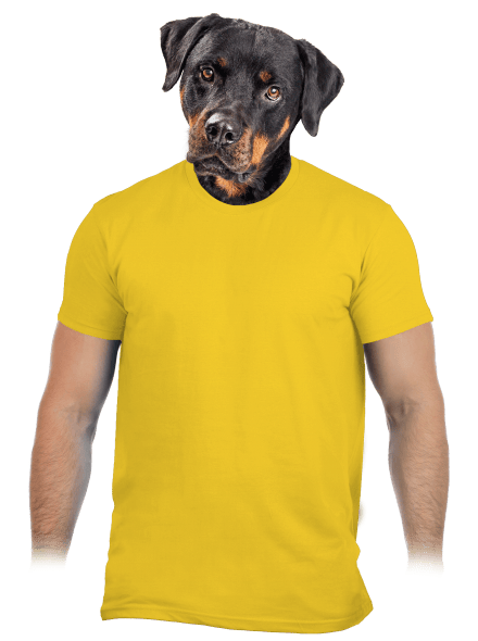 Bez potisku pánské tričko Gold