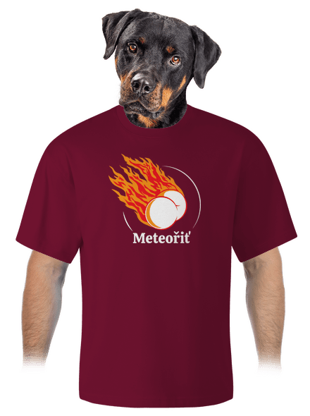Meteořiť unisex tričko oversized Garnet