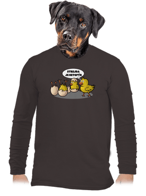 pánské dlouhý rukáv