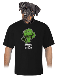 unisex tričko oversized