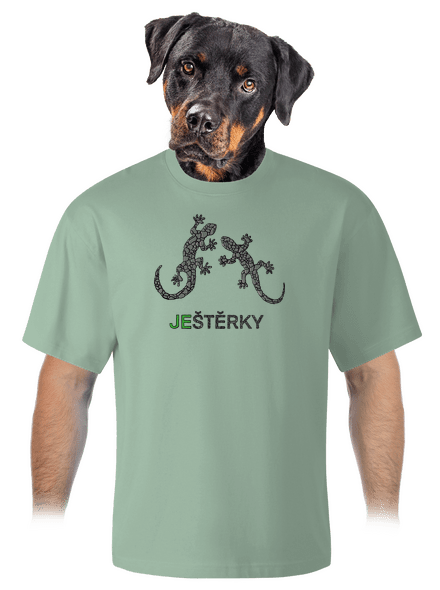 Ještěrky unisex tričko oversized Sage