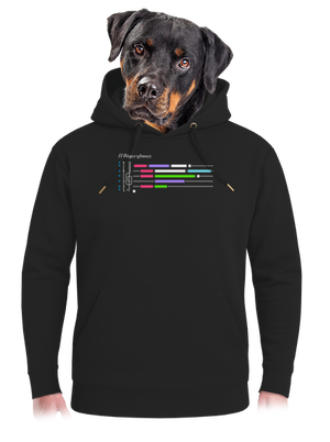 unisex mikina premium