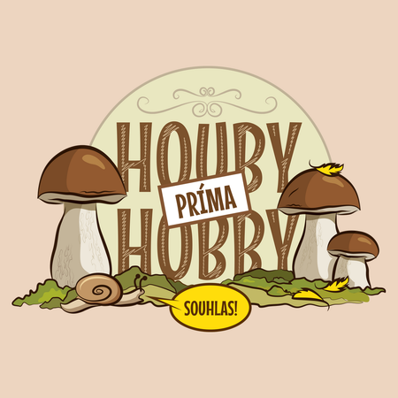 Houby hobby