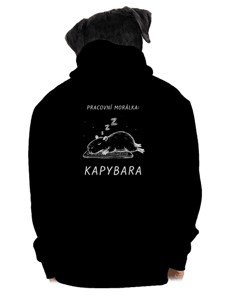Pracovní morálka pánská mikina na zip Black