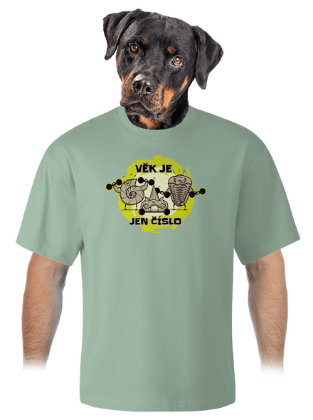 Věk je jen číslo unisex tričko oversized Sage