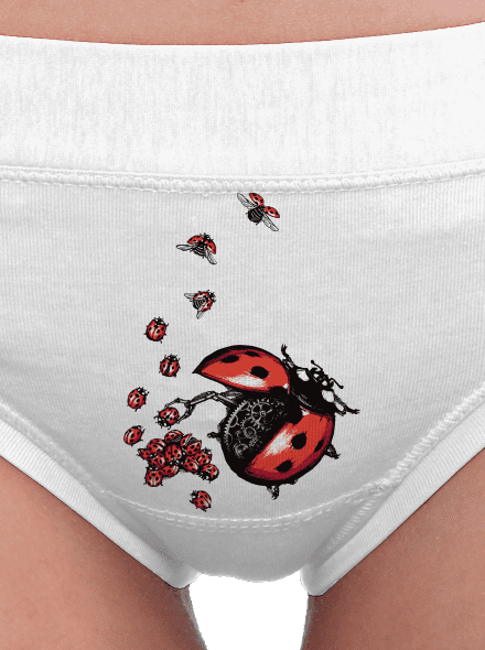 Ladybird Factory dámské kalhotky White