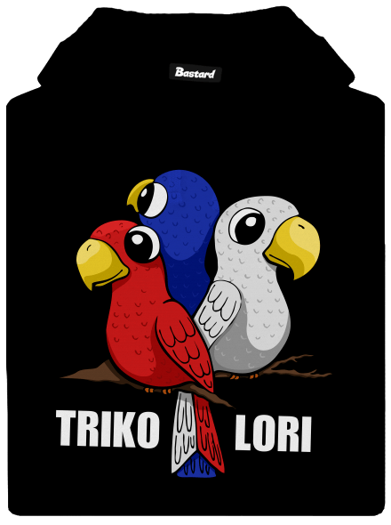 Trikolori pánská mikina klokanka Black