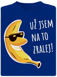 pánské sportovní tričko