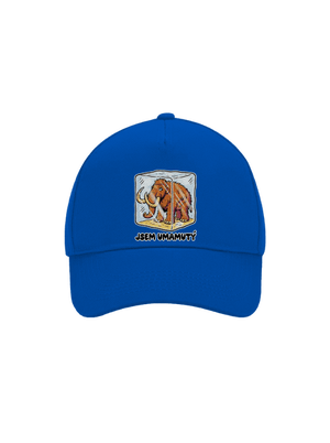 kšiltovka baseballka
