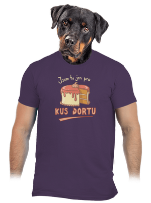 Pro kus dortu pánské tričko Urban Purple