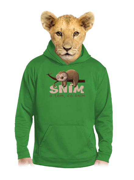 Sním o tom, co sním dětská mikina klokanka Kelly Green AWD