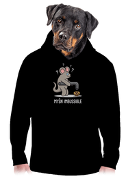 pánská mikina klokanka