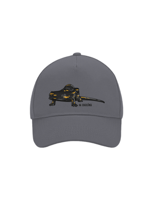 kšiltovka baseballka