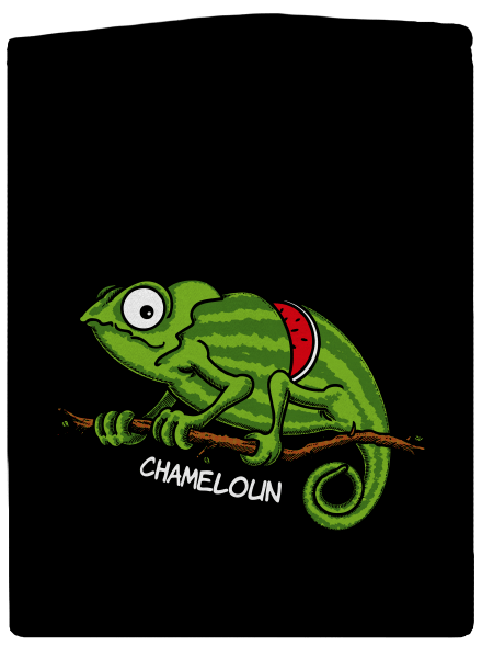 Chameloun pánská mikina na zip Black